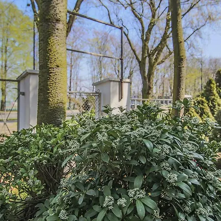 리조트 Osrodek Wypoczynkowy Champion *