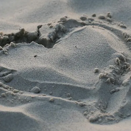 Osrodek Wypoczynkowy Champion *