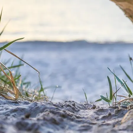 Osrodek Wypoczynkowy Champion *