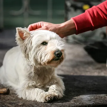 Osrodek Wypoczynkowy Champion Władysławowo