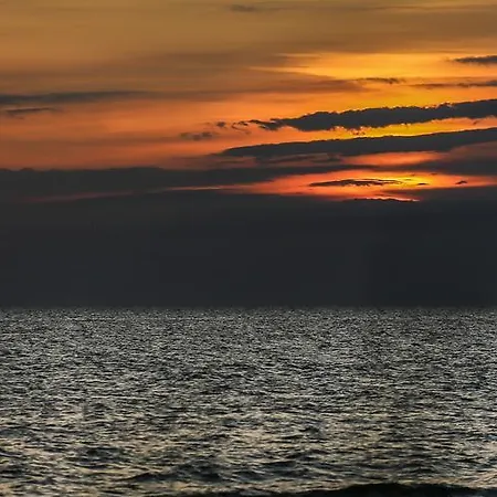 Resort Osrodek Wypoczynkowy Champion *