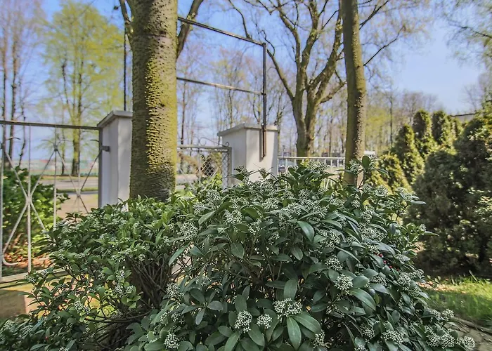 Resort Osrodek Wypoczynkowy Champion *