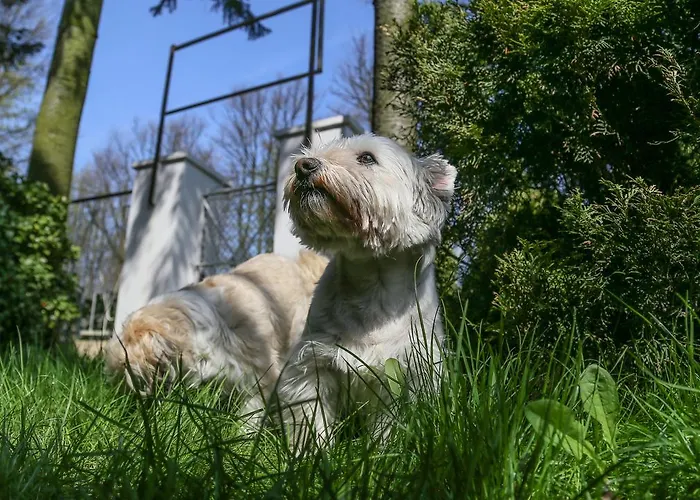 Resort Osrodek Wypoczynkowy Champion *