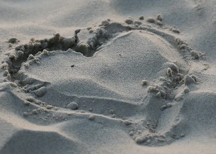 Osrodek Wypoczynkowy Champion *