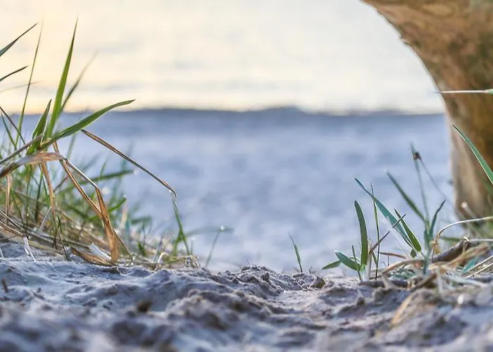 Osrodek Wypoczynkowy Champion *