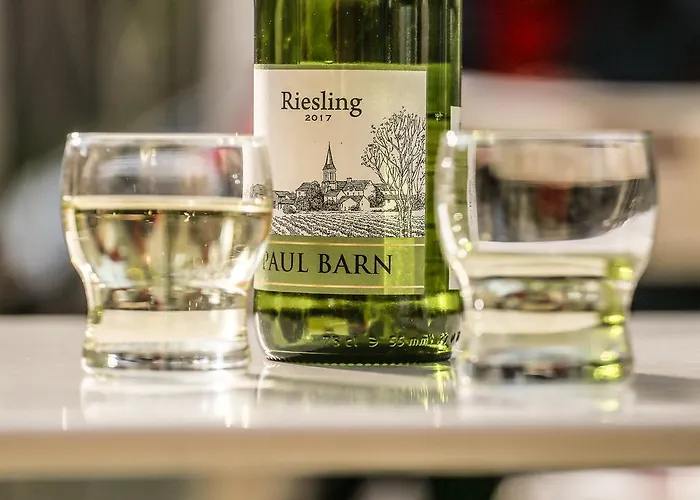 Osrodek Wypoczynkowy Champion Resort